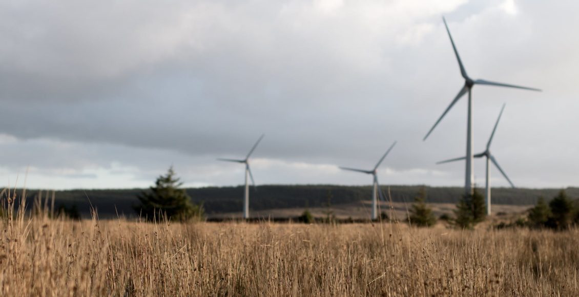 yenilenebilir enerji ve cevre dogaya dost bir gelecek icin
